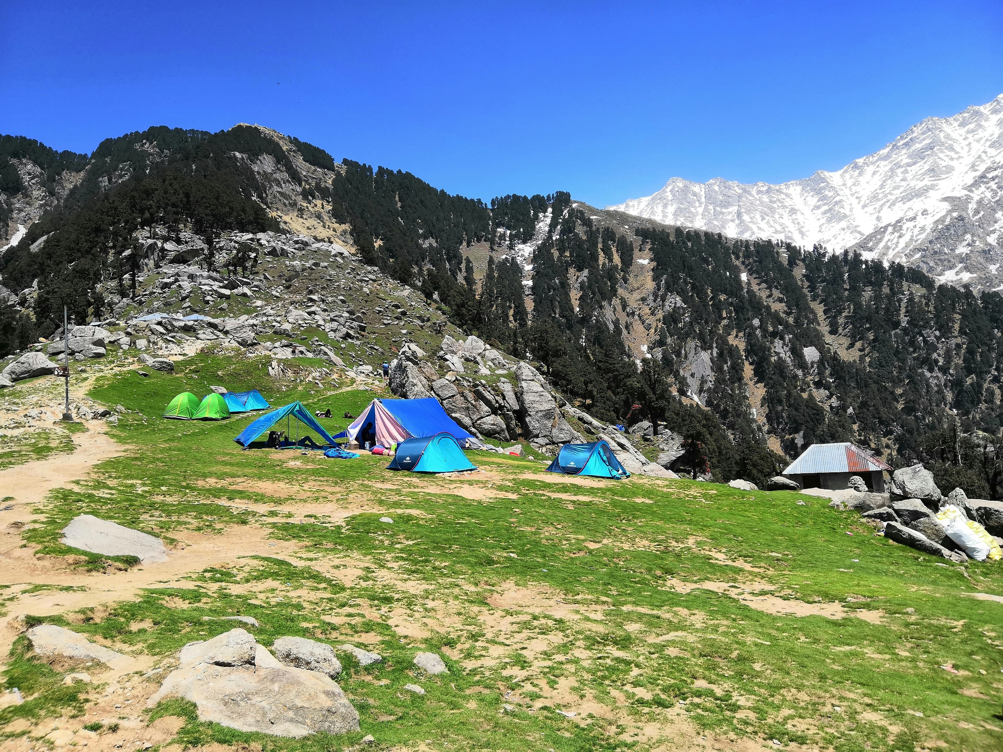 Offbeat, Real Offbeat with Mrigtrishna Trails