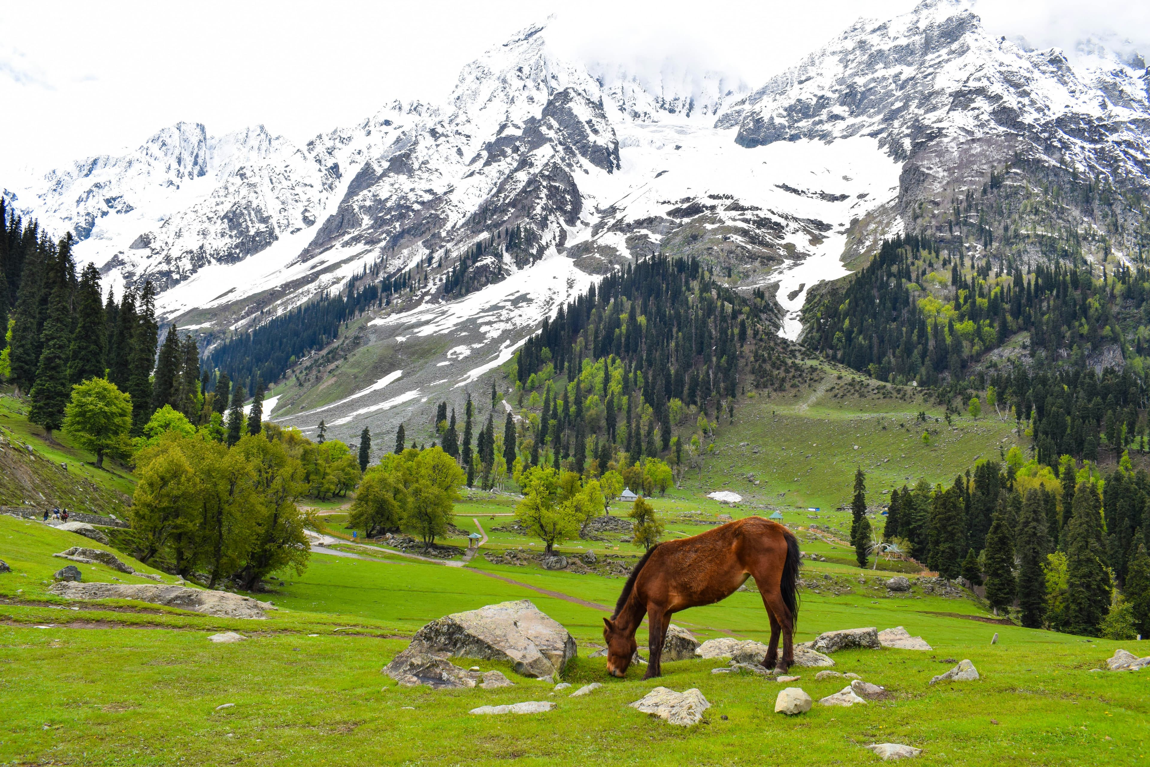 Kashmir landscape